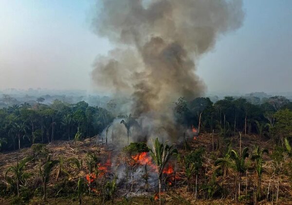El estado brasileño de Amazonas declara una emergencia ambiental ante los incendios - Mundo - ABC Color