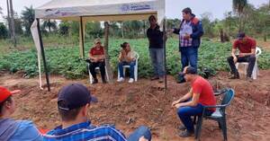 Capacitan en producción de papa a pobladores de la comunidad Jahapety