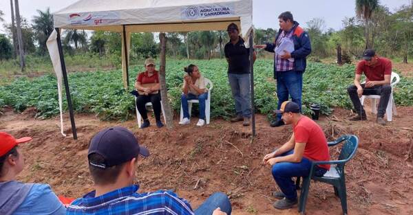 Capacitan en producción de papa a pobladores de la comunidad Jahapety