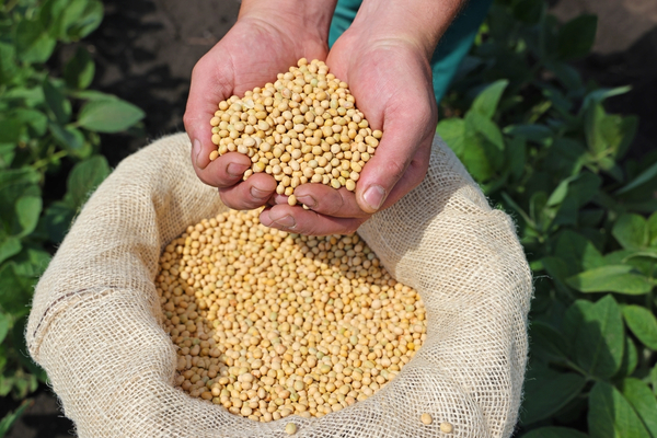 Agro impulsó envíos con un aumento del 20,4 %