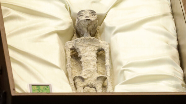 Diario HOY | VIDEO| Periodista muestra "seres no humanos" de "1.000 años de antigüedad"
