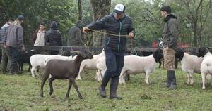 La Nación / Misiones exhibe lo mejor de su producción en una nueva edición de la expo