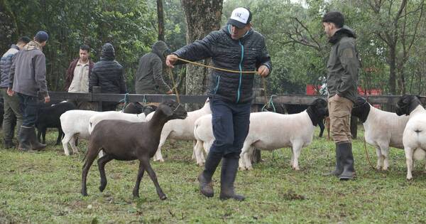La Nación / Misiones exhibe lo mejor de su producción en una nueva edición de la expo