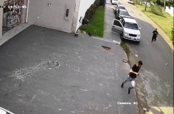 Un perrito ayudó al dueño a frustrar hurto de camioneta •