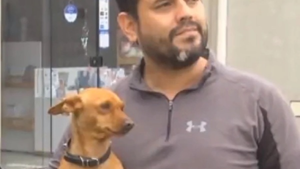 Gaara el perro valiente: Frustró robó de un vehículo en Luque - Noticiero Paraguay