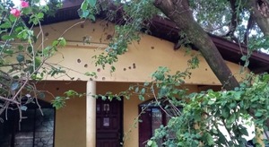 Diario HOY | Vivienda de juezas recibió 56 disparos: refuerzan medidas de seguridad