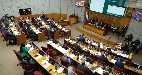 La Nación / Senado declara total apoyo a las medidas tomadas por el Gobierno ante conflicto hidrovía