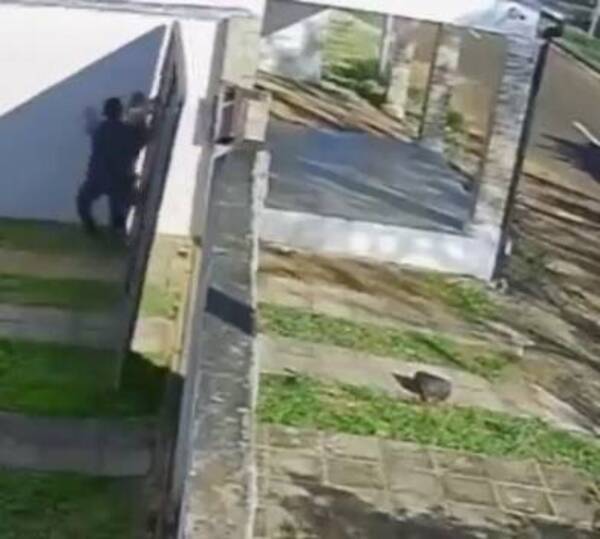 [VIDEO] Sacó el portón para escapar de un joven obsesionado con ella