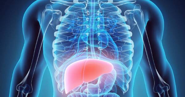 La Nación / Advierten de dos tipos de hepatitis muy contagiosas, pero tratables y prevenibles
