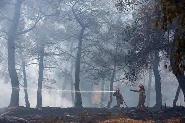 El hemisferio norte registra un récord de incendios forestales en la temporada de 2023 - Mundo - ABC Color