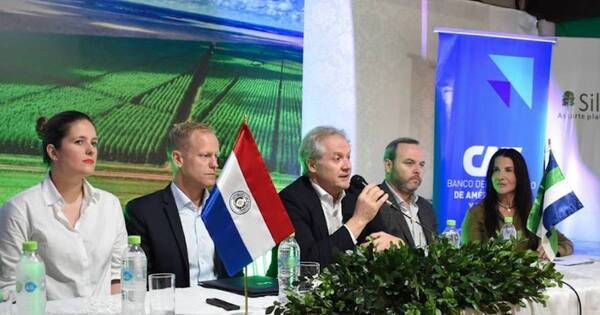 La Nación / CAF invertirá hasta USD 15 millones en Fondo Forestal