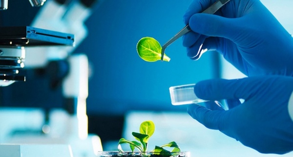 CONACYT dispone de financiación en posgrados para la formación de investigadores