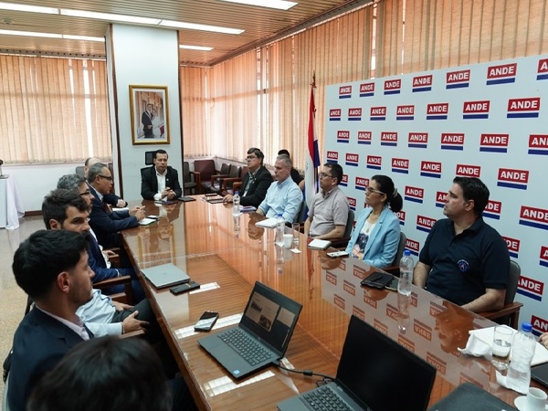 Proyectan que la ANDE parte de su flota a la movilidad eléctrica - La Tribuna