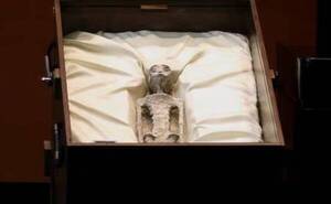 ¡¿Extraterres qué?! ¡Ni idea! he’i de la universidad que “vicheó” supuestos finados “no humanos”
