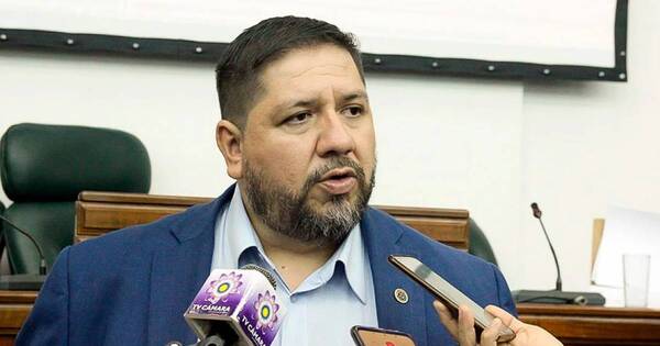 La Nación / Diputado fue “presionado” por exdirector de la Dimabel