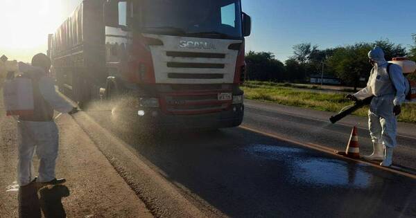 La Nación / Gripe aviar: destacan importancia de invertir en medidas de bioseguridad en granjas
