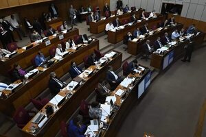 La Cámara de Senadores aprueba endeudamiento de 160.000.000 de dólares para obras en Mariano Roque Alonso - Política - ABC Color