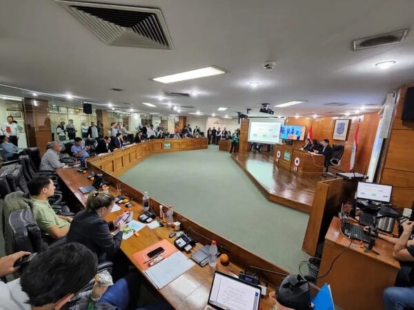 Asunción: Concejales aprobaron pliego para compra de vehículos, pese a acusación de estar direccionado - Nacionales - ABC Color