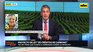 Video: Proyecto de ley ‘’de créditos de carbono’' - Mesa de Periodistas - ABC Color