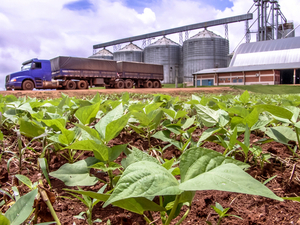 USD 3457 millones generaron las exportaciones del complejo soja al cierre de agosto
