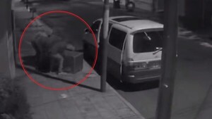 Delincuentes intentaron robar caja fuerte de 700 kilos, pero no pudieron alzarla a su vehículo