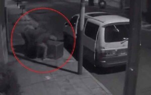 Delincuentes intentaron robar caja fuerte de 700 kilos, pero no pudieron alzarla a su vehículo en Asunción – Prensa 5