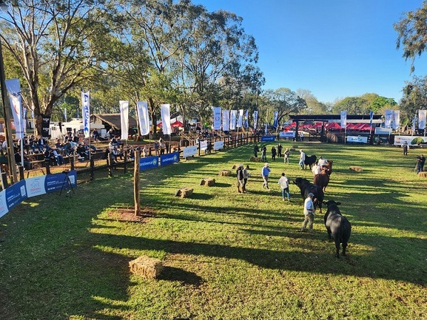 Expo Misiones: un jueves frío, con mucho público y los primeros Grandes Campeones