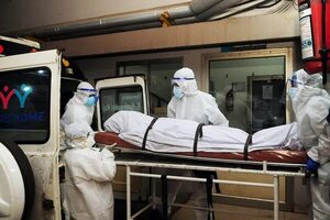 India en alerta tras dos muertes por el mortal virus Nipah - Mundo - ABC Color