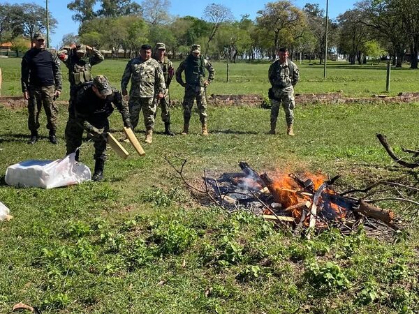 Concepción: incineran cerca de una tonelada de marihuana encontrada en reserva natural - Nacionales - ABC Color