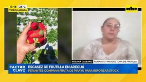 Video: escasez de frutilla en Areguá - Factor Clave - ABC Color