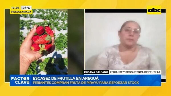 Video: escasez de frutilla en Areguá - Factor Clave - ABC Color
