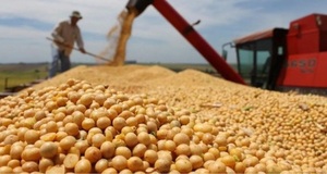 Aumento de exportaciones de soja generó U$S 3.500 millones en divisas - ADN Digital