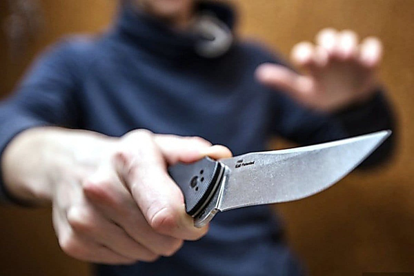 Delincuencia sin límites: joven asaltó a una profesora frente a alumnos de jardín - Megacadena