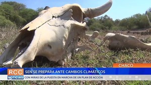 La Secretaria de Emergencia Nacional se prepara ante diversos cambios climáticos