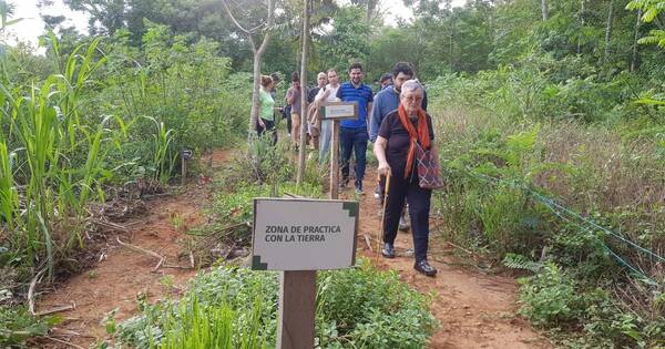 La Nación / Experiencia vivencial: hoy harán un circuito mitológico-etnobotánico
