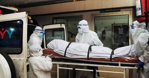 La Nación / Alerta en India: dos muertos por Nipah y varios hospitalizados