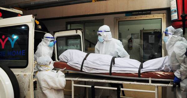La Nación / Alerta en India: dos muertos por Nipah y varios hospitalizados