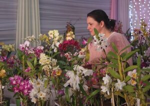 Expo Orquídeas: Color y olor a primavera en Nueva Alborada - Nacionales - ABC Color