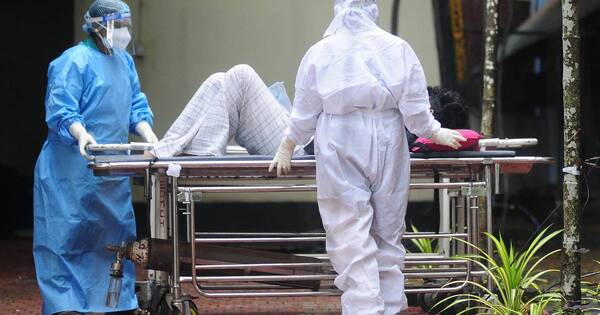 La Nación / Nipah, un virus sin vacuna y de hasta 75 % de mortalidad