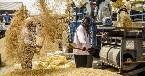 La Nación / Disparada de precios del arroz anticipa crisis alimentaria, advierten