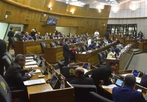 Diputados proyectan crear otro distrito en Canindeyú - Política - ABC Color