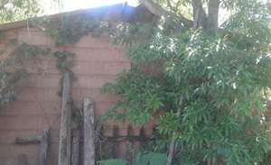 Condenan a 6 personas por robo con resultado de muerte | 1000 Noticias