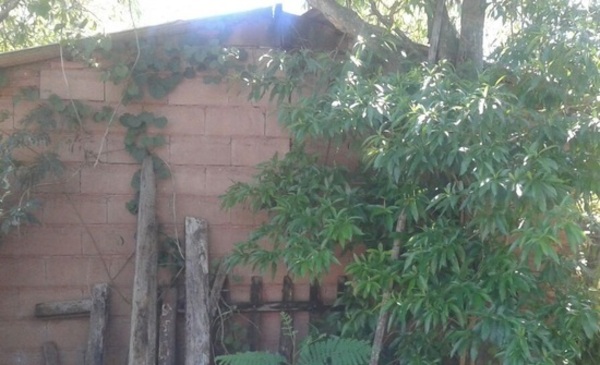 Condenan a 6 personas por robo con resultado de muerte | 1000 Noticias