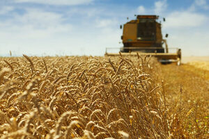 Impulsan desarrollo agroindustrial en el norte