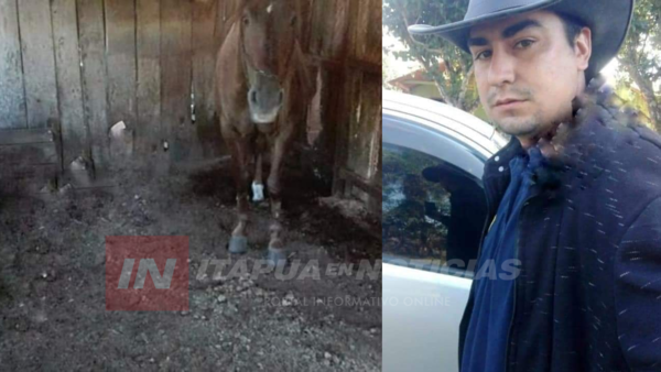 CABALLO MATÓ DE UNA PATADA A SU CUIDADOR - Itapúa Noticias