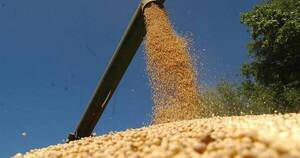 La Nación / USDA mantiene previsión de producción sojera paraguaya, pero recorta proyección global