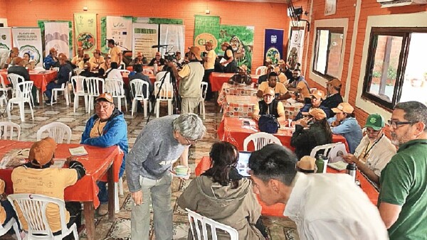 Alto Chaco: Buscan abrirse paso en el mercado digital