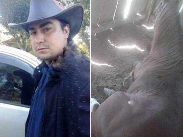 De una patada, un caballo mató a su cuidador