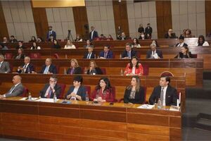 ¿Imbéciles, lacayos o cipayos?: nuestro Senado a los pies de la ideología de género - Informatepy.com