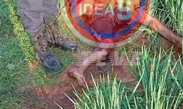 Dueño de huerta mata a presunto ladrón en Itá